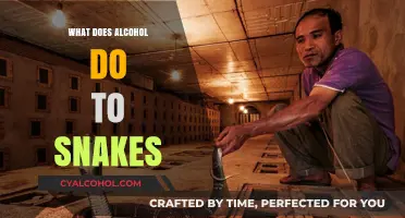 Alcohol's Impact on Snakes: Unveiling the Surprising Effects and Risks