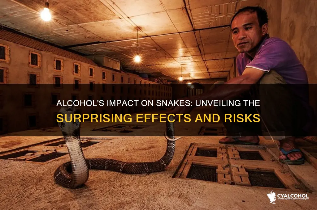 what does alcohol do to snakes