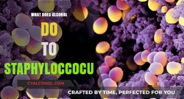 Alcohol's Impact on Staphylococcus: Unveiling Its Effects and Implications