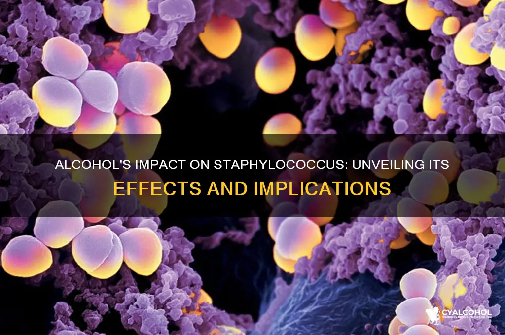 what does alcohol do to staphyloccocus