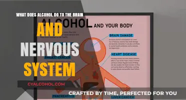 Alcohol's Impact: Brain and Nervous System Disruption