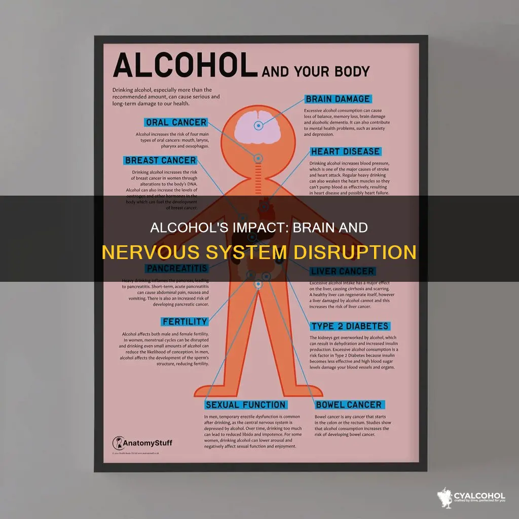 what does alcohol do to the brain and nervous system