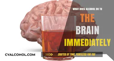 Immediate Brain Effects of Alcohol: Understanding the Rapid Impact