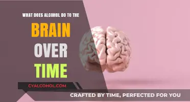 Alcohol's Long-Term Effects on Brain Function