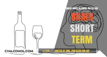 Alcohol's Short-Term Impact: Brain Changes and Effects