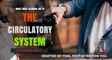 Alcohol's Impact on the Ciratory System: Effects and Consequences