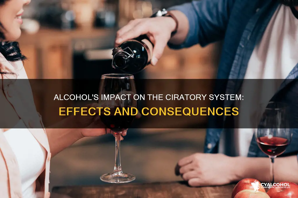 what does alcohol do to the circulatory system