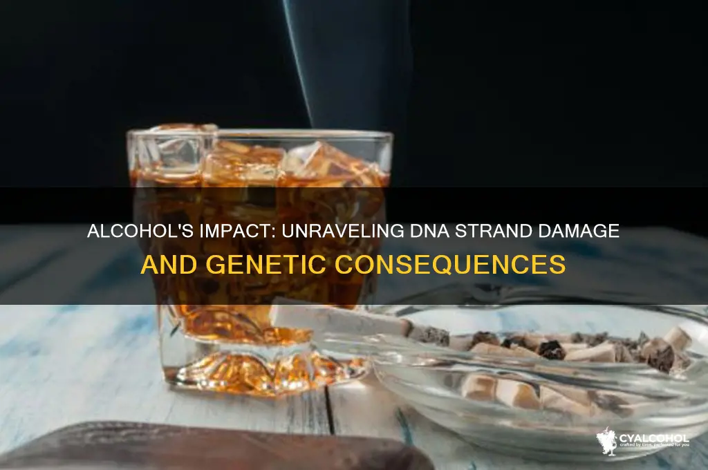 what does alcohol do to the dna strands