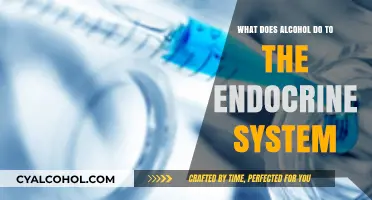 Alcohol's Impact on Hormones: Understanding Endocrine System Disruption
