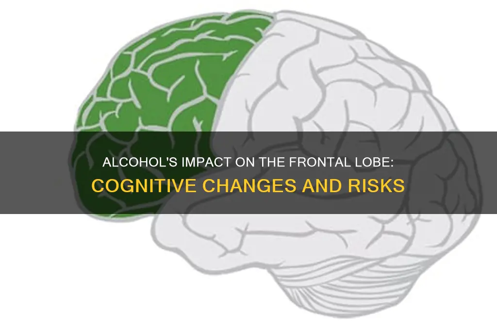what does alcohol do to the frontal lobe