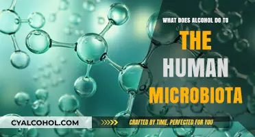 Alcohol's Impact on Gut Health: Unraveling Microbiota Disruption
