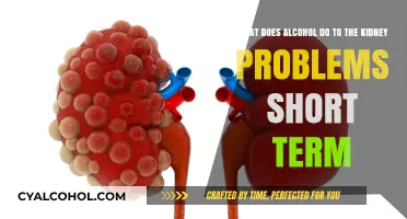 Alcohol's Short-Term Impact on Kidney Health