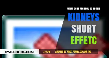 Alcohol's Short-Term Negative Impact on Kidneys