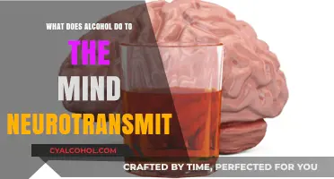 How Alcohol Alters Brain Chemistry: Neurotransmitter Effects Explained