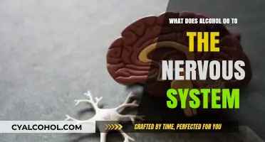 Alcohol's Impact on the Nervous System: Effects and Consequences Explained