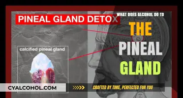 Alcohol's Impact on the Pineal Gland: Unveiling the Hidden Effects