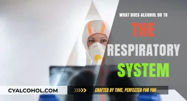 Alcohol's Impact on Breathing: Understanding Respiratory System Effects