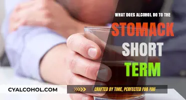 Alcohol's Short-Term Stomach Effects