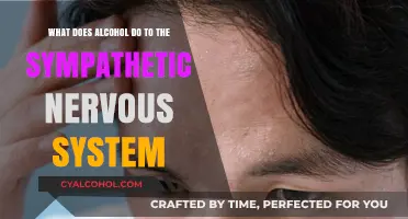 Alcohol's Impact on the Sympathetic Nervous System