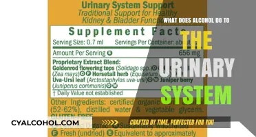 Alcohol's Impact on the Urinary System: Effects and Risks Explained