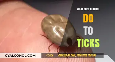 Alcohol's Surprising Impact on Ticks: Unveiling the Effects and Risks