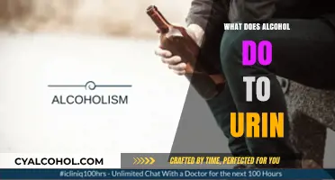 How Alcohol Affects Urine: Understanding Its Impact on Your Body