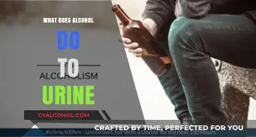 How Alcohol Affects Urine: Changes, Frequency, and Health Implications