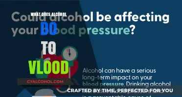 How Alcohol Affects Your Blood: Understanding the Impact and Risks