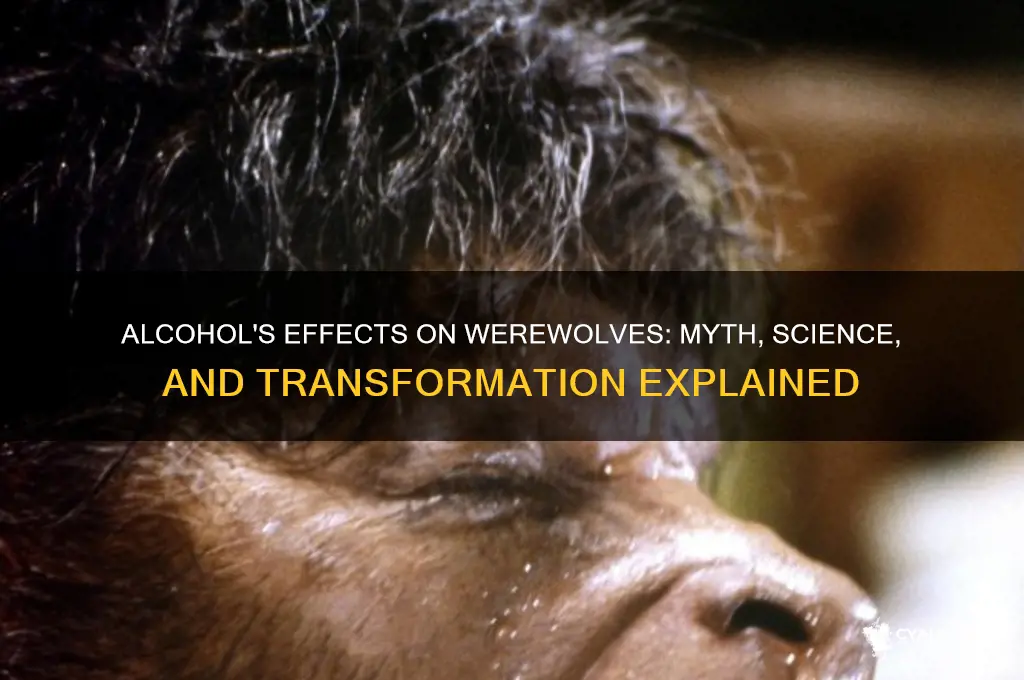 what does alcohol do to werewolves