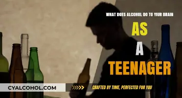 Alcohol's Impact on the Teenage Brain