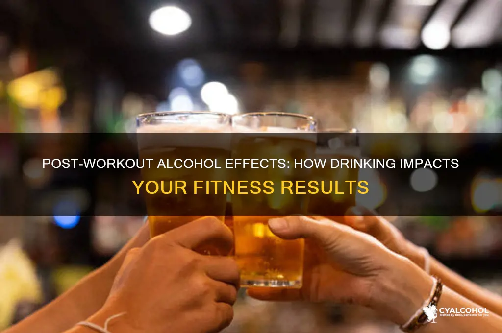 what does alcohol do to you after exercising