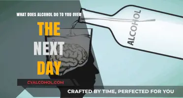 Alcohol's Lingering Effects: Understanding the Next-Day Hangover