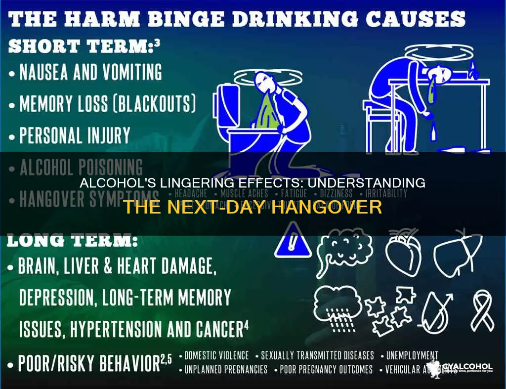 what does alcohol do to you over the next day