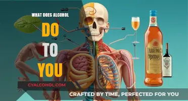 Unveiling Alcohol's Impact: How It Affects Your Body and Mind