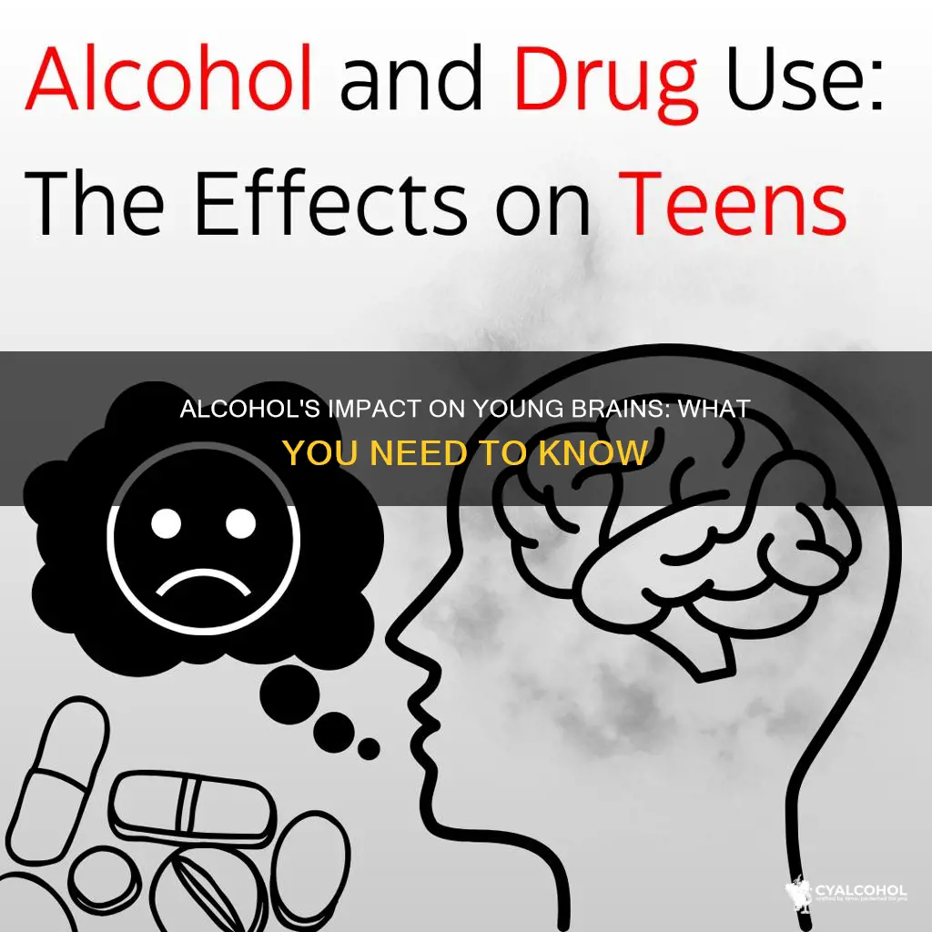 what does alcohol do to young people