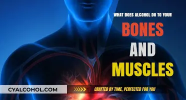 Alcohol's Impact on Bones and Muscles