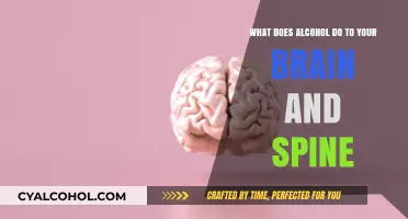 Alcohol's Impact: Brain and Spine