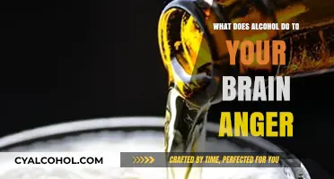 Alcohol's Impact on Brain Chemistry: Unraveling the Link to Anger