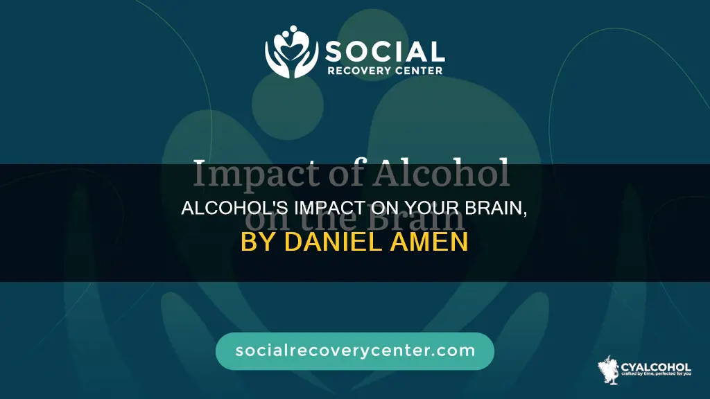 what does alcohol do to your brain daniel amen