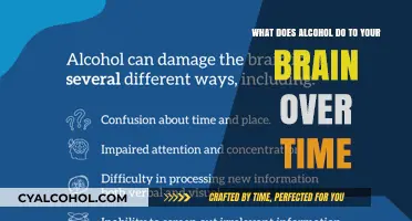 Alcohol's Long-Term Impact on Brain Function