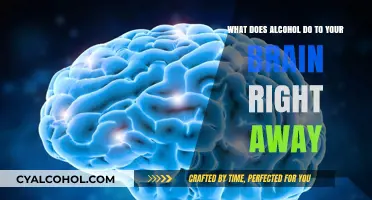 Alcohol's Immediate Impact: How It Affects Your Brain