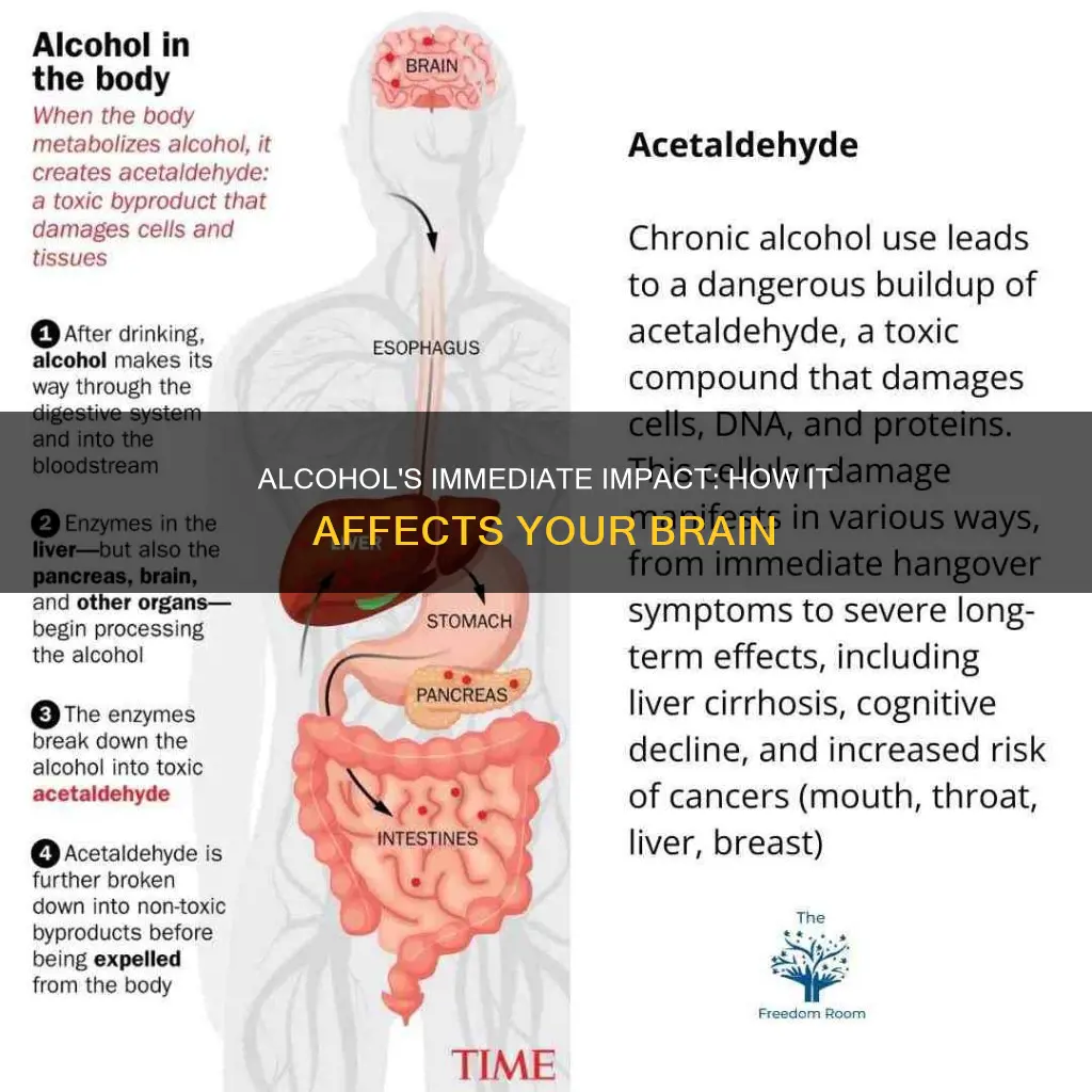 what does alcohol do to your brain right away