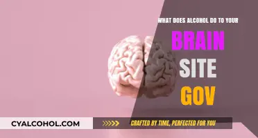Alcohol's Impact on the Brain
