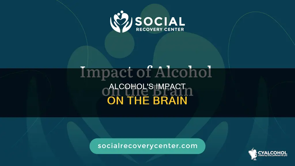 what does alcohol do to your brain site gov
