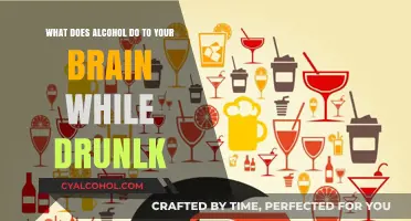 Alcohol's Impact: How It Affects Your Brain