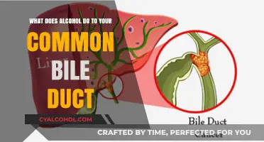 Alcohol's Impact on Your Common Bile Duct