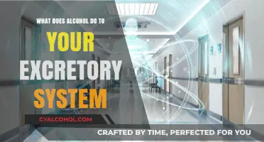 Alcohol's Impact on Your Excretory System: Effects and Risks Explained