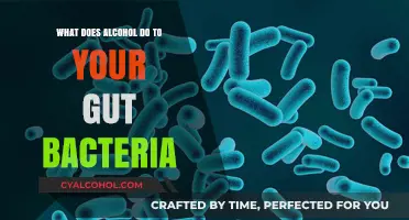 How Alcohol Impacts Your Gut Bacteria: Uncovering the Hidden Effects