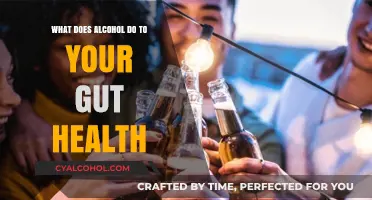 Alcohol's Impact on Gut Health: Unraveling the Digestive Consequences