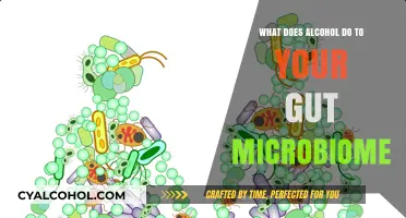 How Alcohol Impacts Your Gut Microbiome: Uncovering the Effects